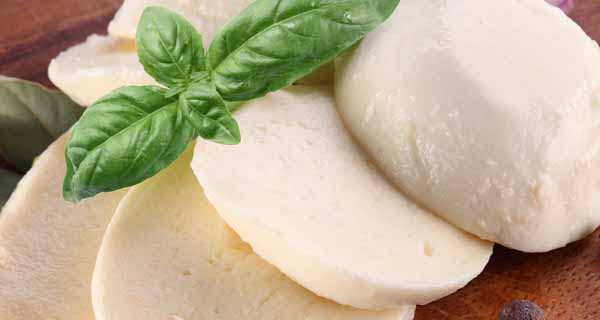 High hopes of Italian dairy production are placed in export