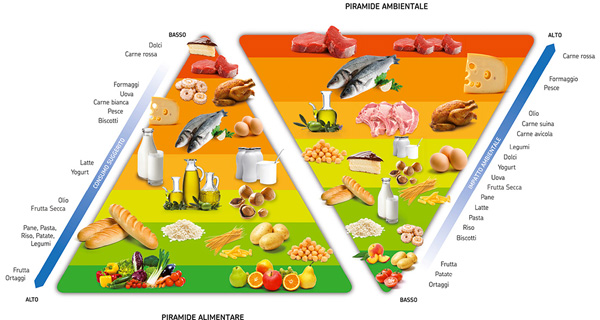 Eating sustainably can save 2.500 liters of water a day