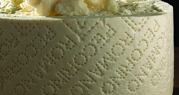 Pecorino Romano, an excellent business for American buyers