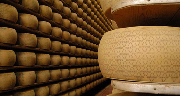 Italian cheese, facts and protagonists
