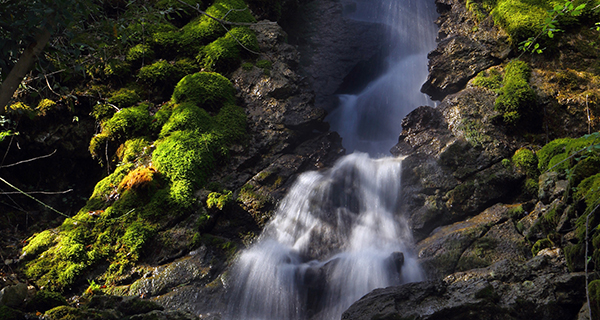 De Cecco’s natural spring water