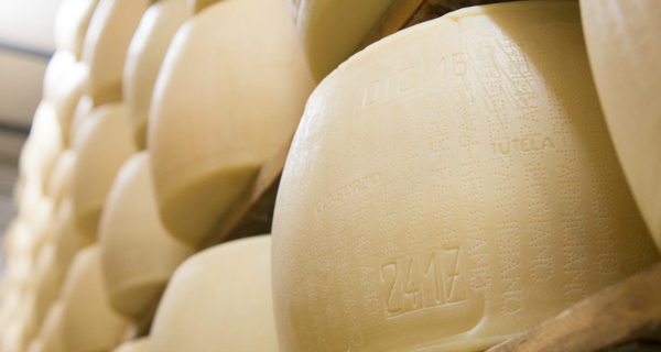 Dalter Alimentari has a new ally for its Parmigiano Reggiano supply chain