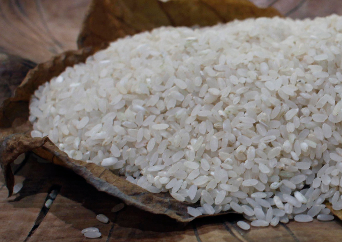 Italy defends its rice from Asian imports