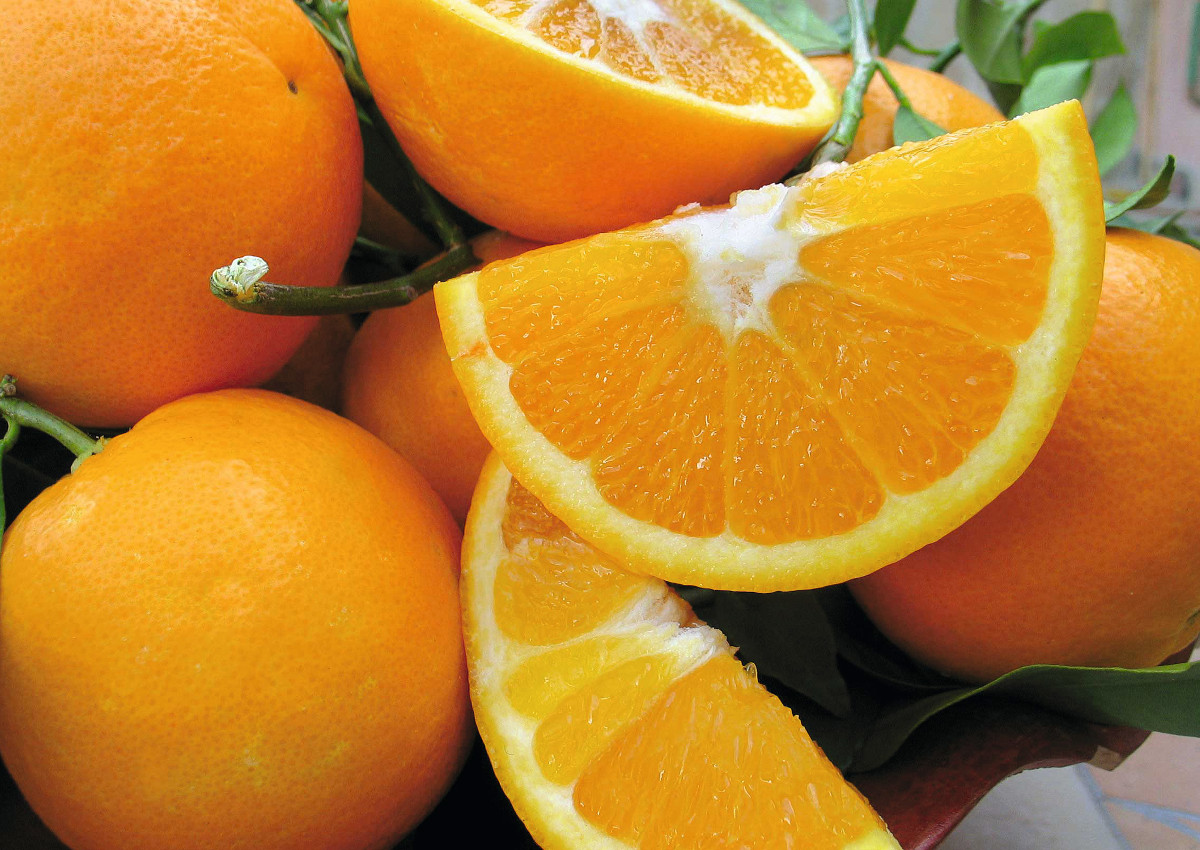 Apulia-oranges-fruit & vegetables