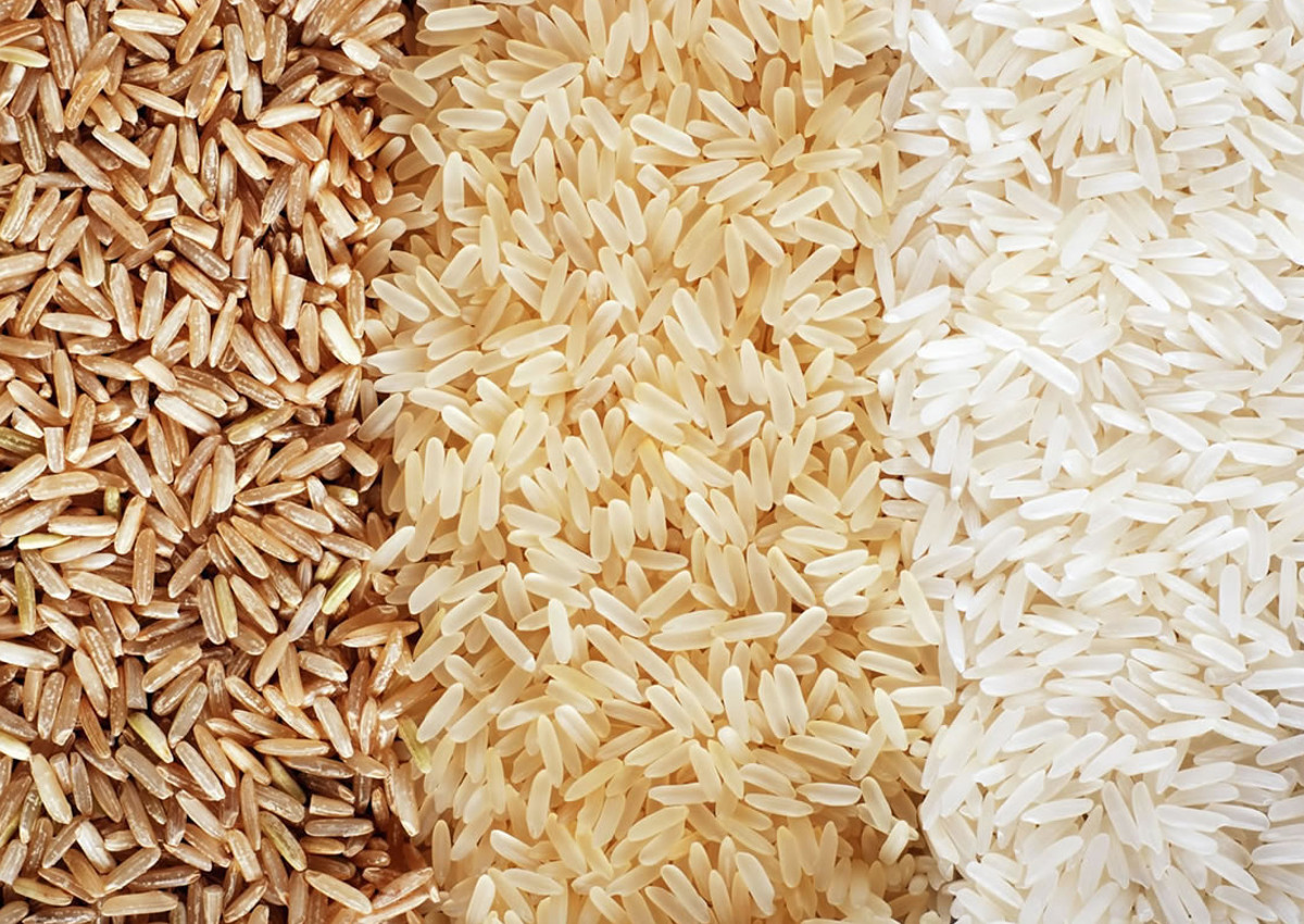 Italian-rice-types