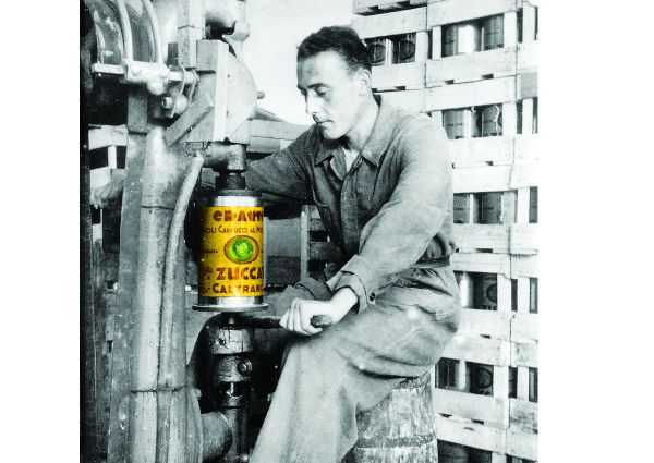 Federico Zuccato-canned vegetables-sauerkraut