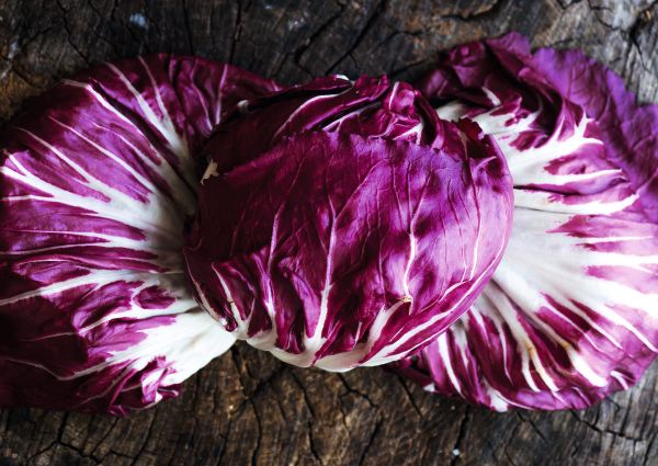 red radicchio-Veneto-Italian chicory