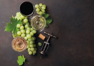 wines-Italian wine-grapes-wine glasses