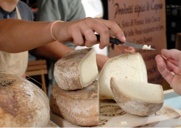 Italian dairy-cheese-SIAL-CCIAA-cheese importers