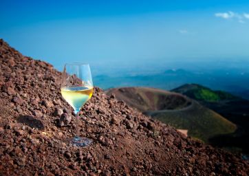Soave-Italian wine-Verona-wine exports