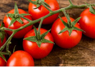 organic tomatoes-OI-Cibus 2018-Northern Italy