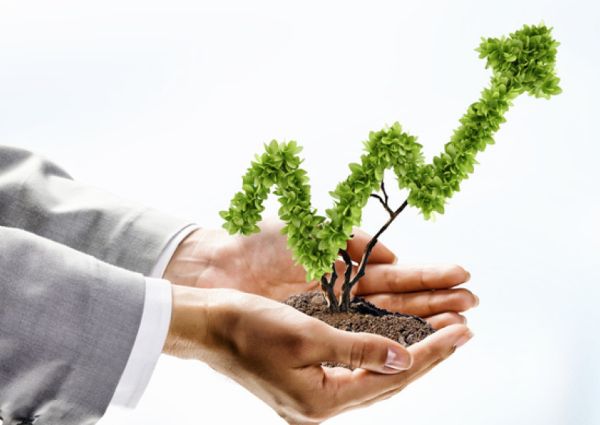 crescita-growth-aumento-green-healthy-organic-bio-organic food