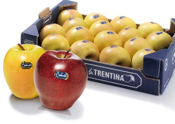 melinda-la-trentina