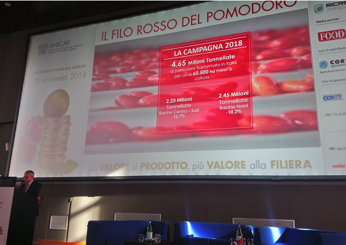 Il filo rosso del pomodoro-ANICAV-tomatoes