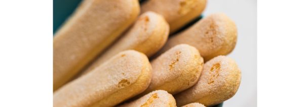 confectionery-sweet bakery-ladyfingers