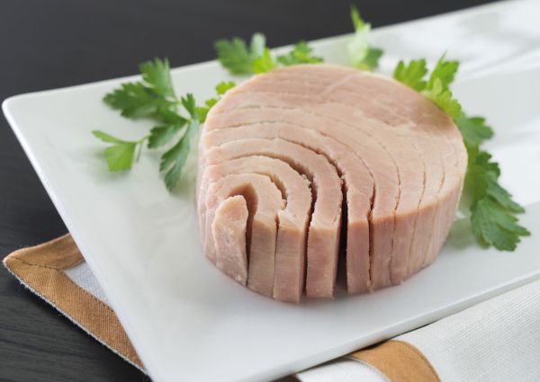 tuna fish
