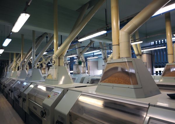 Pasta innovation: Interior view of a pasta factory with machinery and grain.