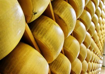 Italian cheeses-Kraft-Parmigiano Reggiano PDO