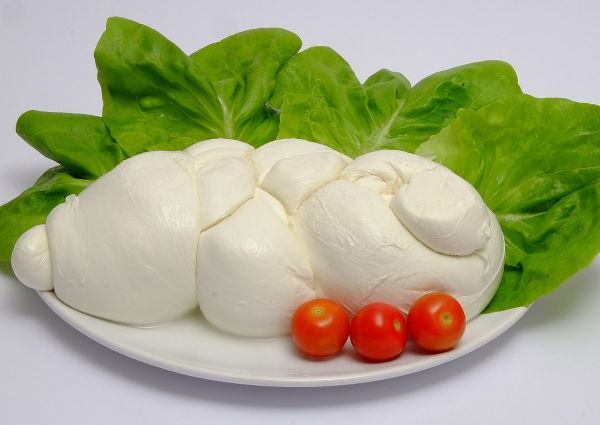 Buffalo Mozzarella PDO