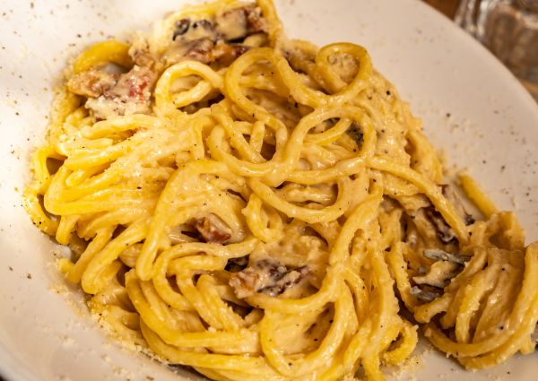 Close-up of Bucatini pasta, a thick, spaghetti-like pasta with a hole running through the center, with a creamy sauce.