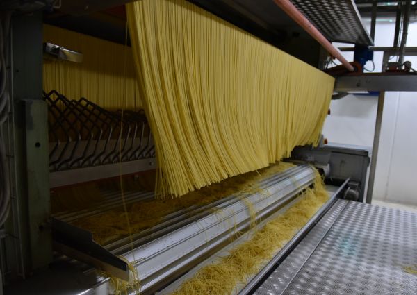Pasta di Gragnano PGI production. Spaghetti drying on industrial machine. Italian food manufacturing.