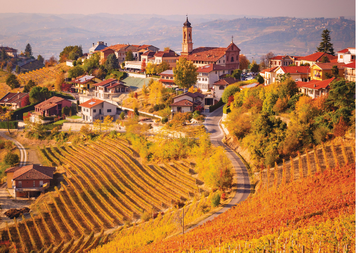 A journey to discover the specialties of Piedmont