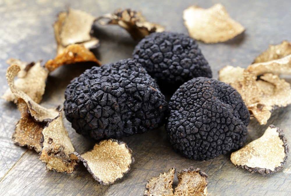 Black truffles from Umbria