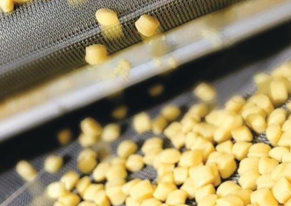 Diced potatoes on a production line. Master starts its third production line.