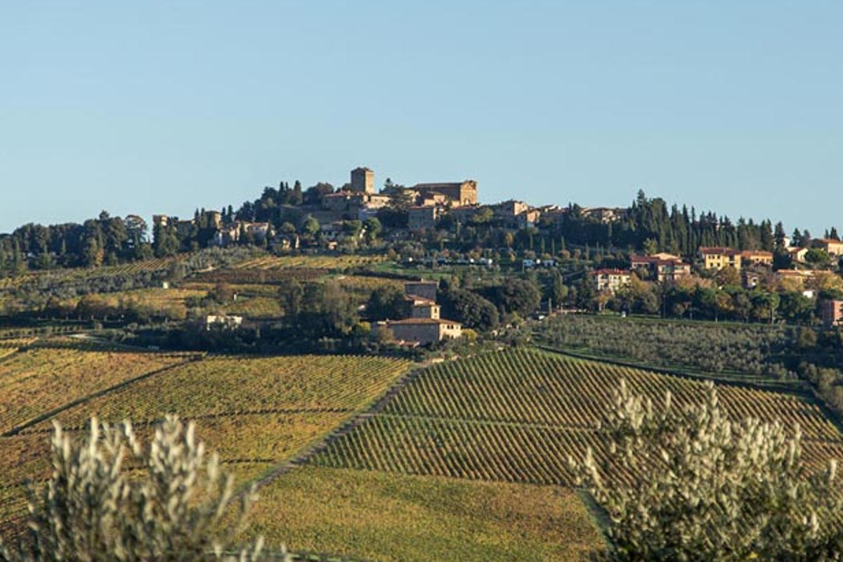 Olearia del Chianti: the formula for good Tuscan evo oil