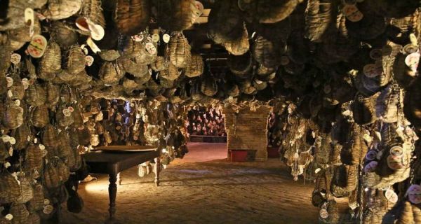 Culatello di Zibello PDO aging. Traditional Italian cured meat hanging in a cellar.