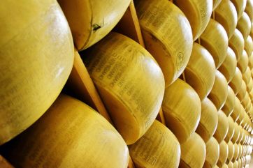 food trends-Italian dairy-Parmigiano Reggiano PDO-Consortium