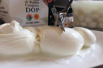 Italian cheese-Italian cheeses-Mozzarella di Bufala Campana PDO-Buffalo Mozzarella PDO