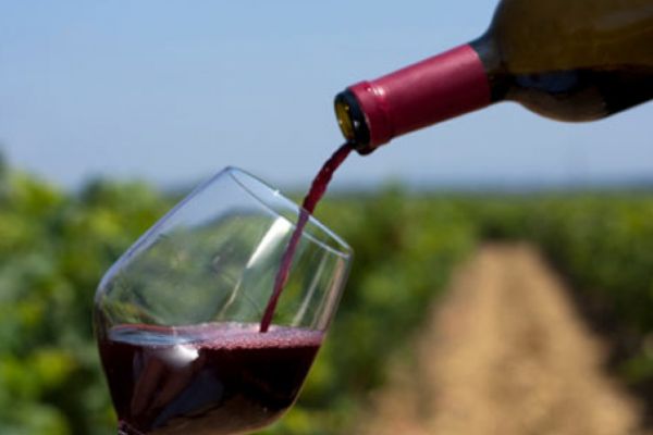 Italian wine exports