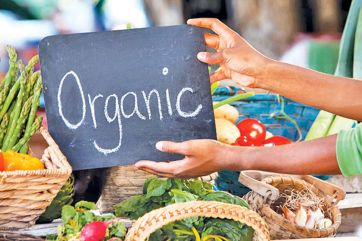 organic food-Japan