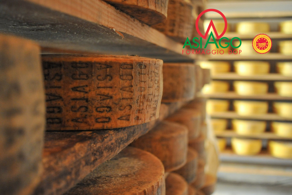 Asiago PDO export sales grow double-digit