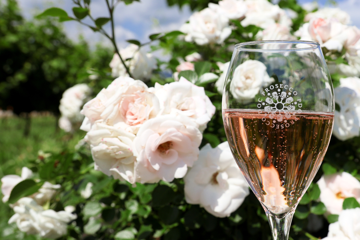 Prosecco DOC Rosé expected to export more than 80% in the US, Canada, UK