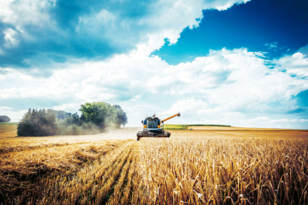 agri-food-food agriculture-supply chain-Italian agriculture