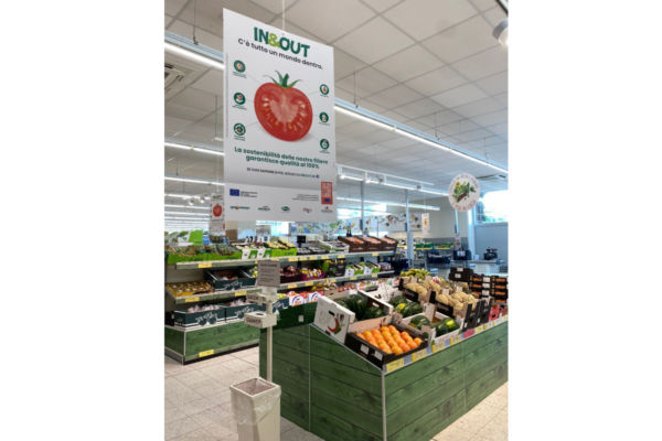 European fruit and vegetables at IN&OUT project retail location. Fresh produce market display.