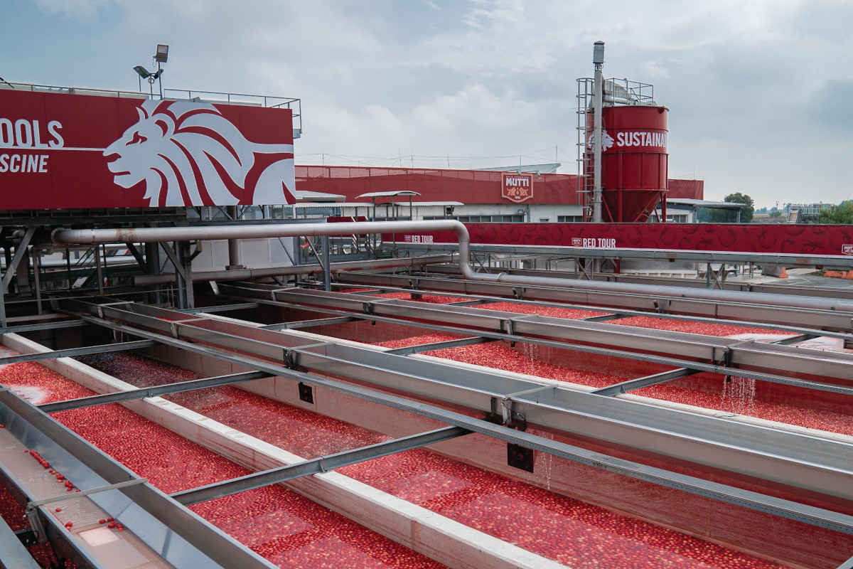 Italy’s Mutti celebrates excellent quality for 2021 tomato harvest campaign
