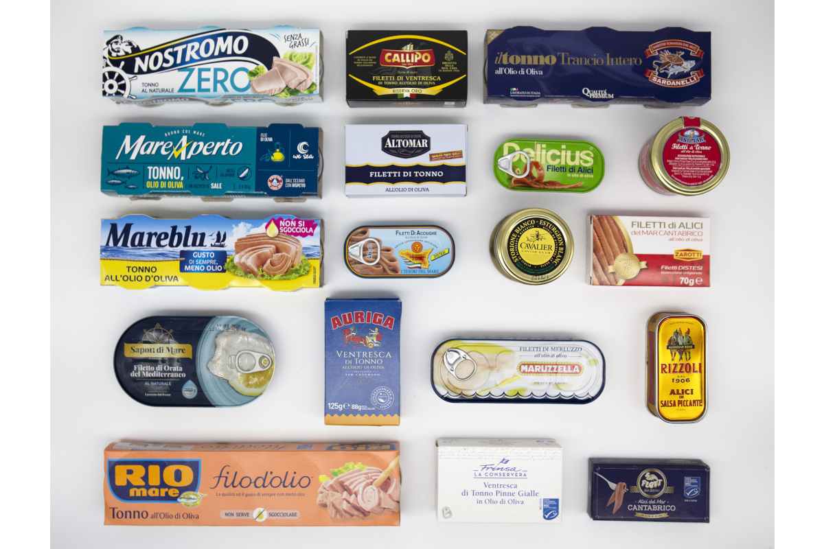 canned fish-Ancit-fish canneries-seafood-tuna fish-Italian fish canneries association