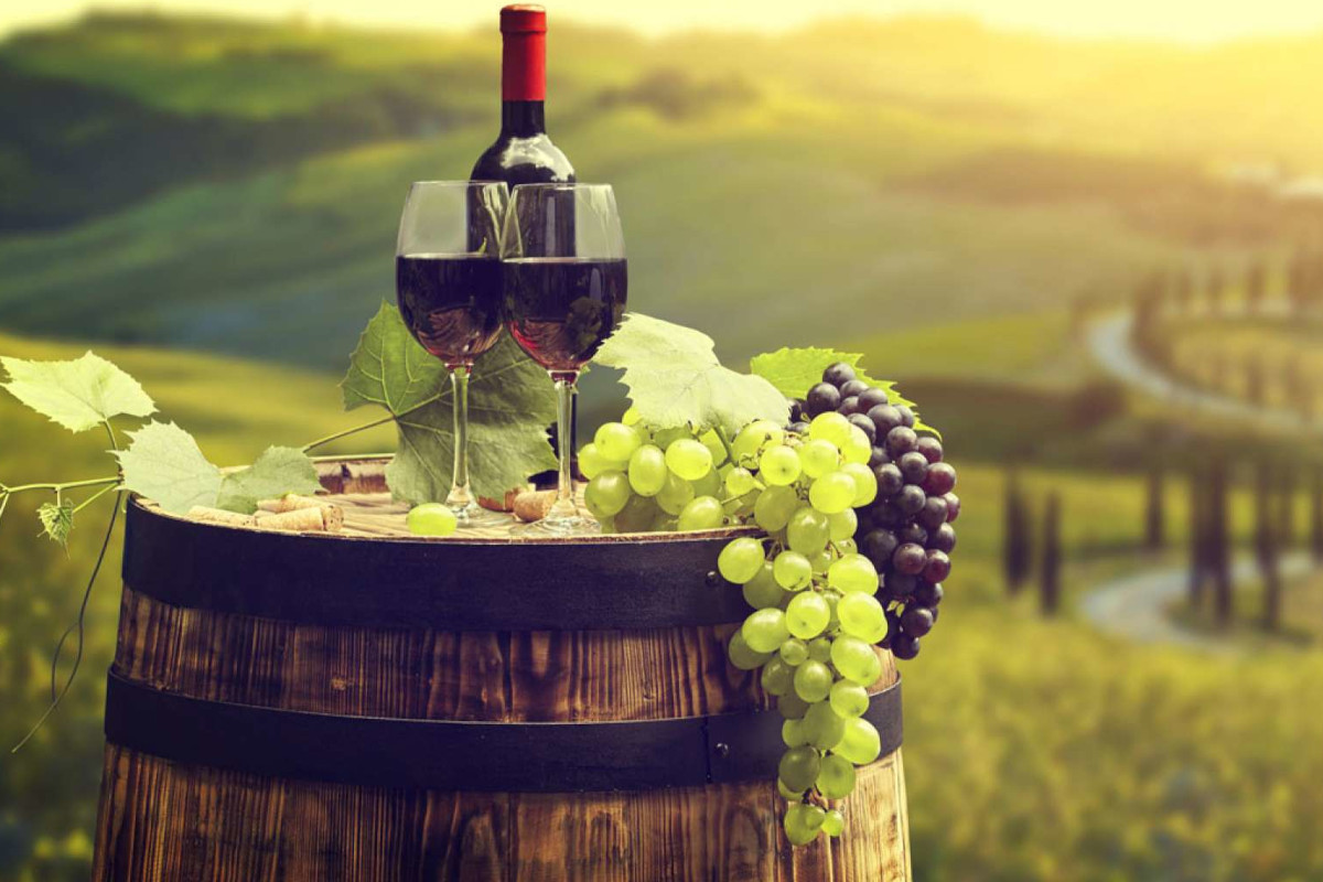 Italian wine exports decline in the first 7 months of 2023