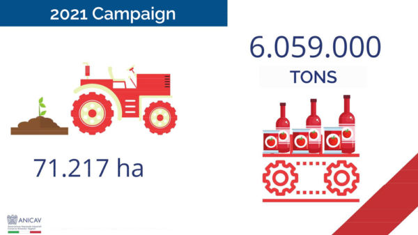 Italy tomato production graphic. Tractor, tomato plants, processed tomato products, and production statistics.