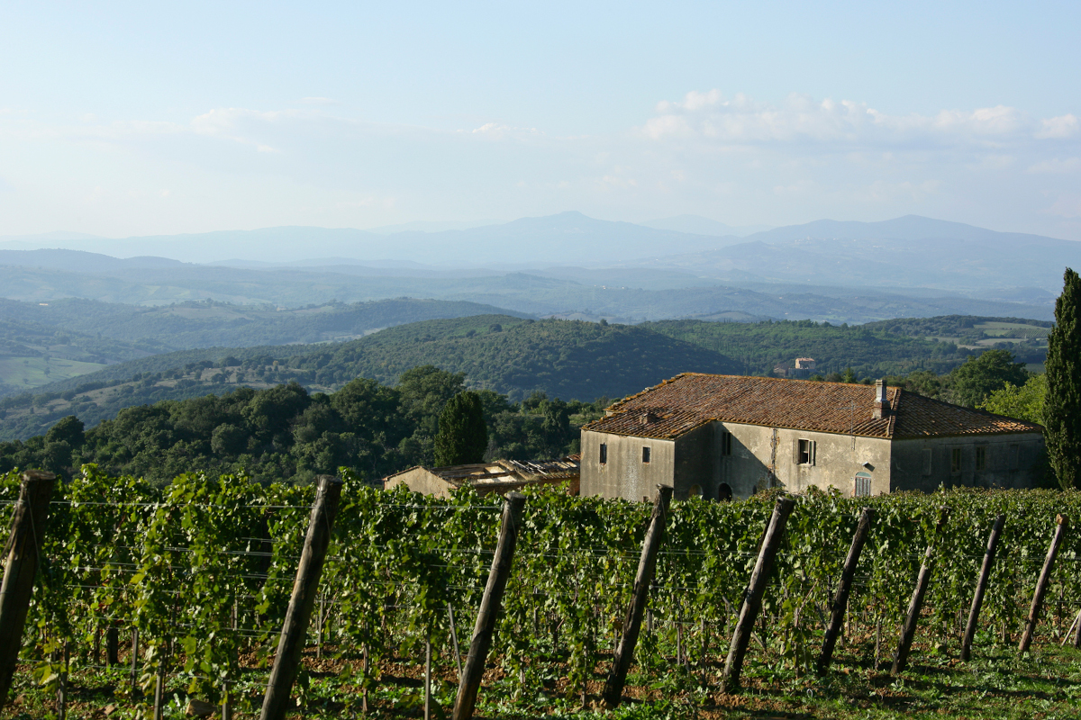 Forbes: Montecucco PDO among “The best wines to drink in 2022”