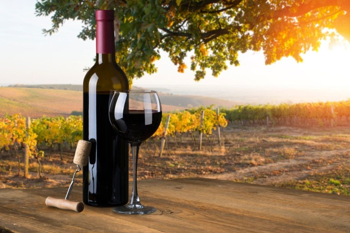 PDO Chianti Wine Consortium aims to boost exports to Estonia and Poland