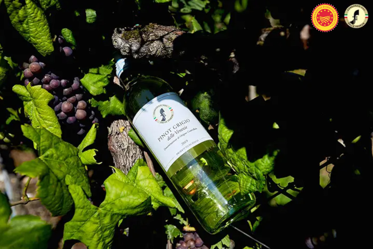 Pinot Grigio delle Venezie PDO is back in the UK with its Wine Truck