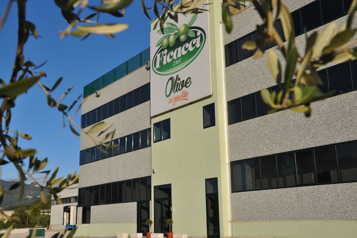 Ficacci olive company expands into international business