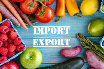 exports-Italian food exports-Italian food export-districts-district