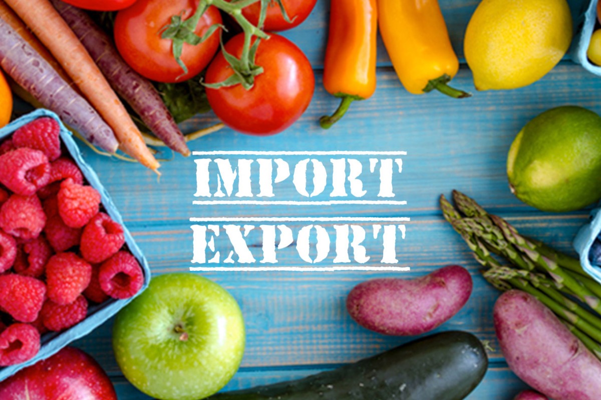 Italian food imports and hot sale exports