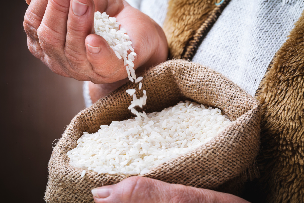 The EU to curb the utilization of tricyclazole in rice cultivation