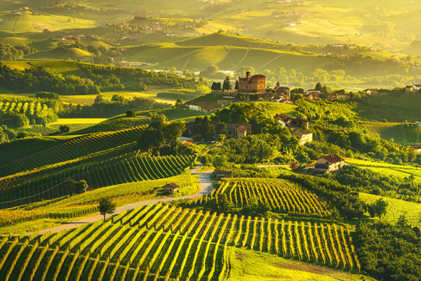 Langhe, Piedmont landscape. Rolling hills with vineyards, villages, and a castle.